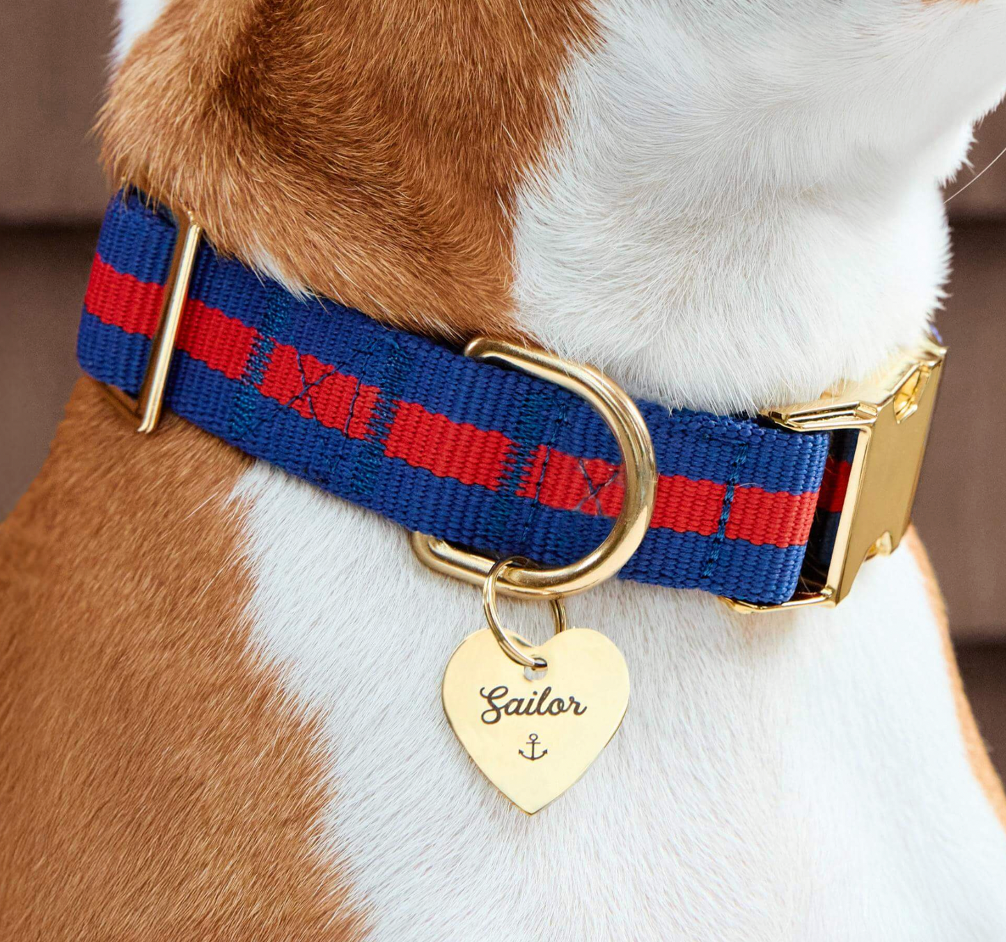 Mariner Striped Webbing Dog Collar