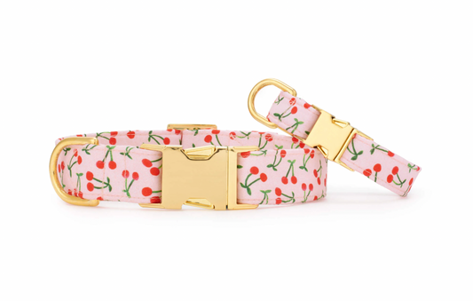 Cherry Jubilee Dog Collar