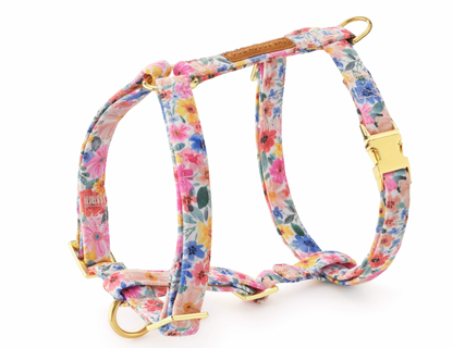 Foggy Dog Harness