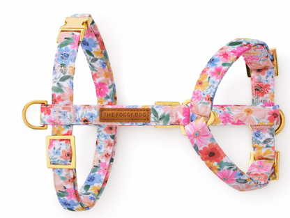Foggy Dog Harness