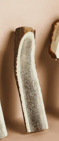 Red Deer Antler Split