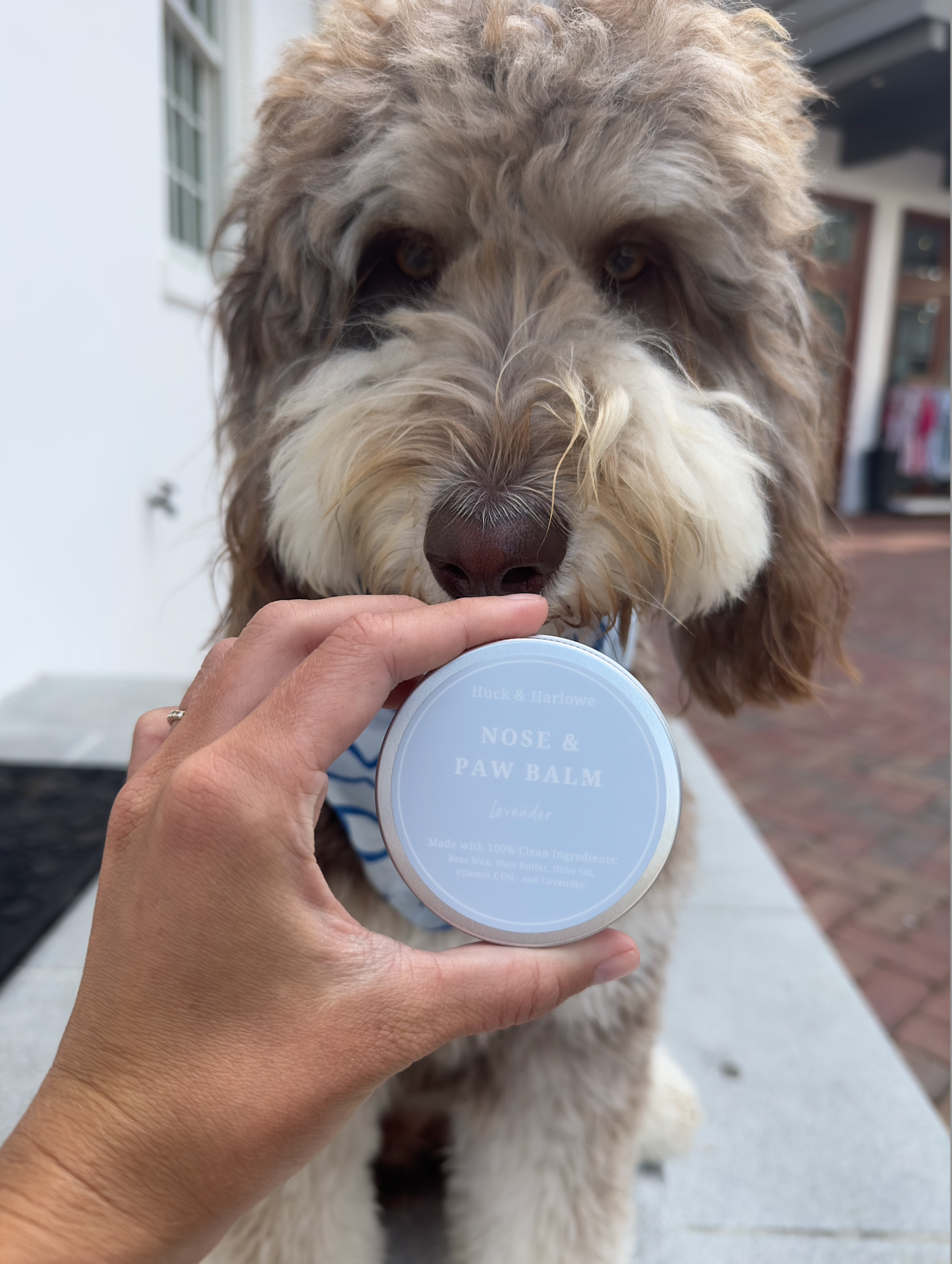 Nose & Paw Balm