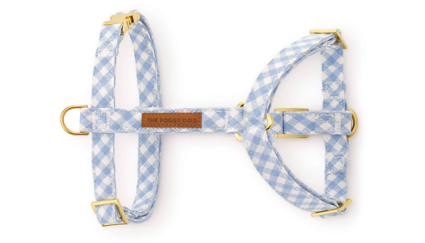 Foggy Dog Harness