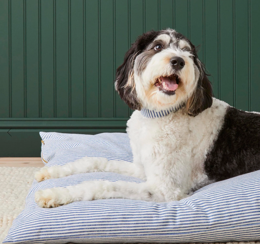 Extra Large Foggy Dog Bed