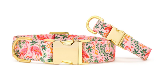 Flock of Flamingos Dog Collar