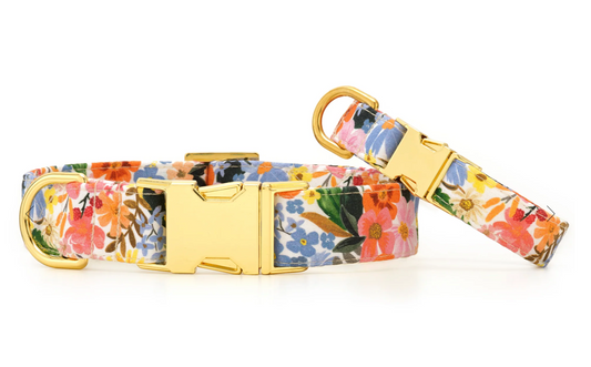 Marguerite Dog Collar