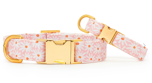 Fresh as a Daisy Dog Collar