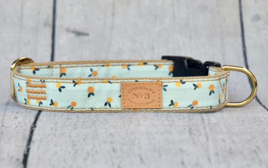 Clementine Dog Collar