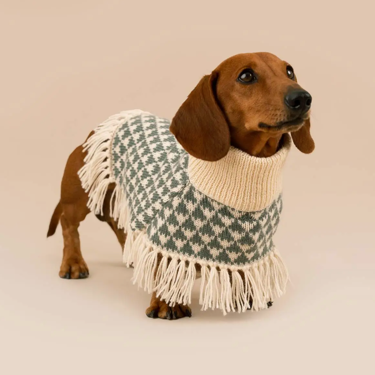 Triad Alpaca Dog Poncho