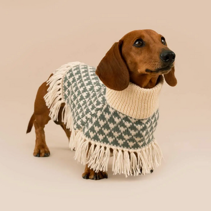Triad Alpaca Dog Poncho
