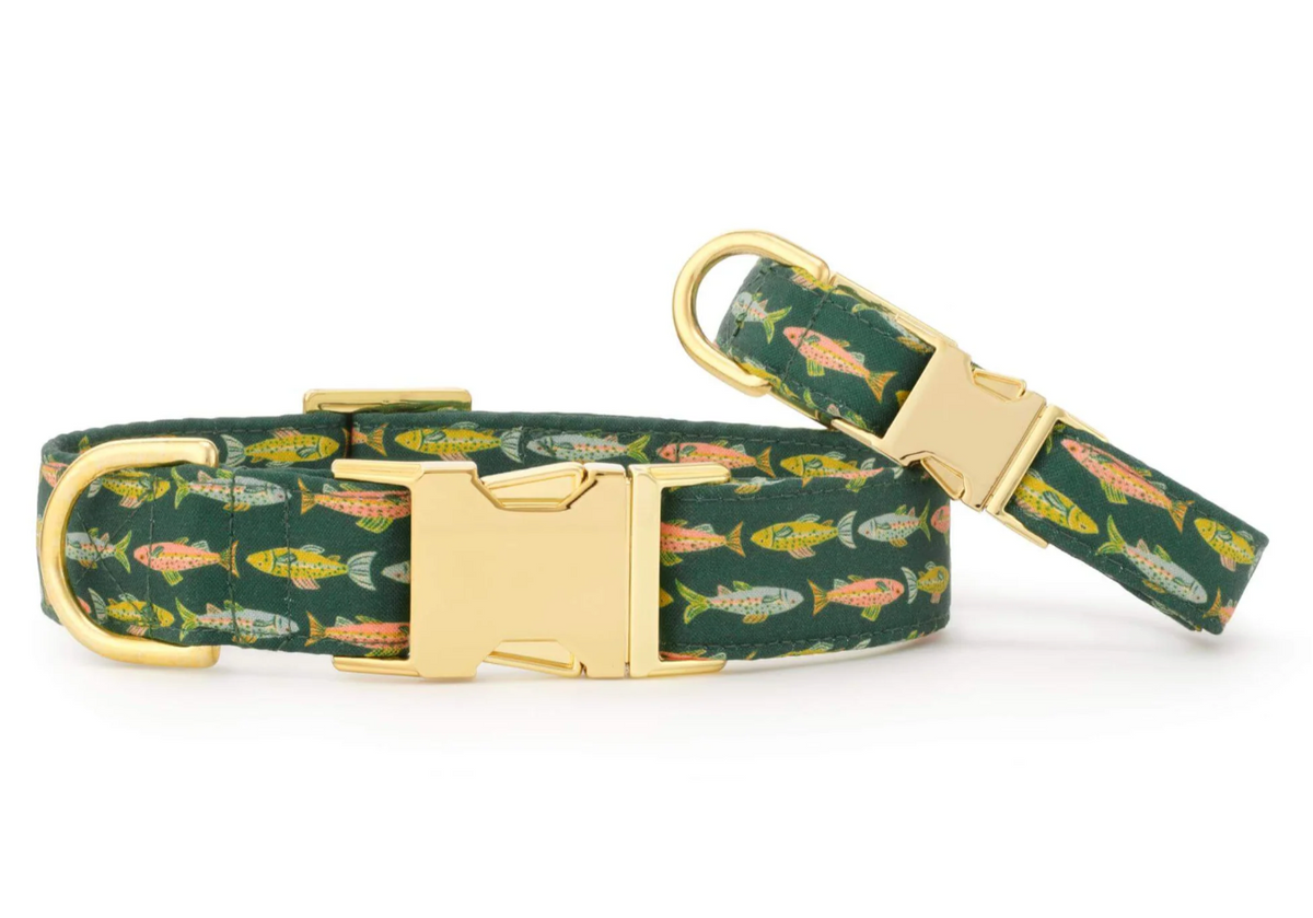 Gone Fishing Dog Collar