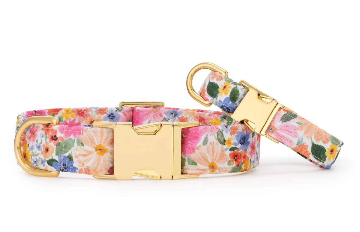 Margaux Dog Collar