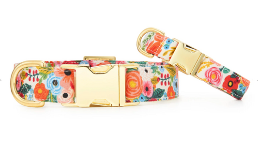 Garden Party Dog Collar