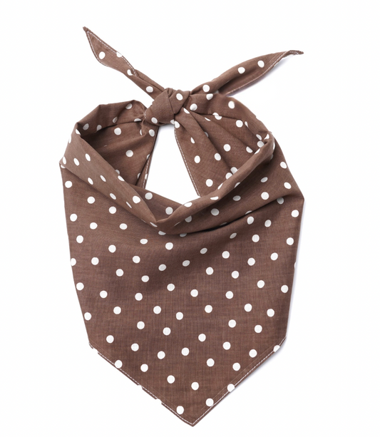 Chocolate Dot Dog Bandana