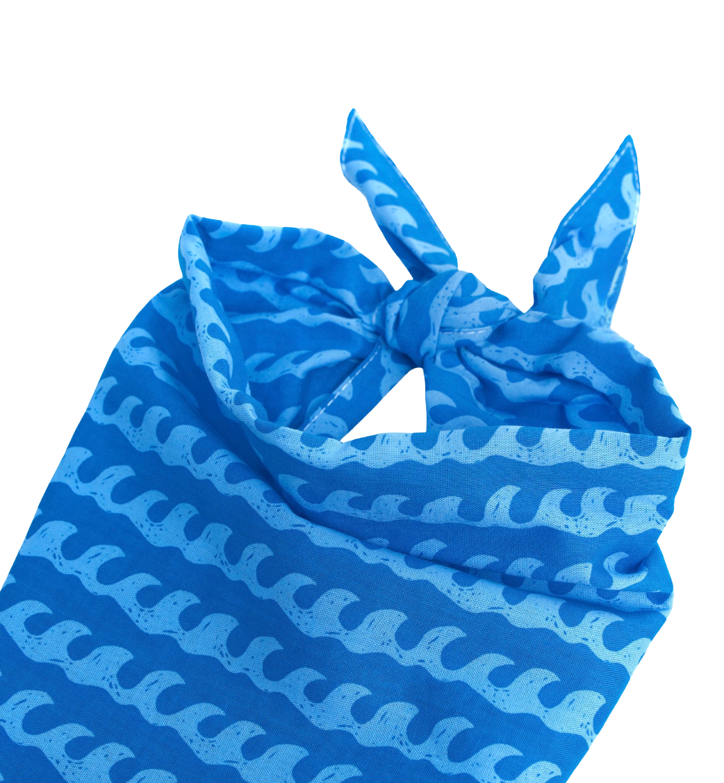 Surf's Up Dog Bandana