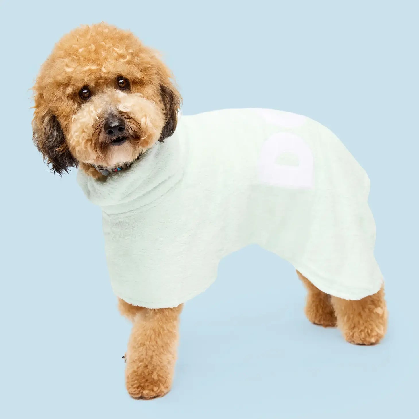 DOG bathrobe towel