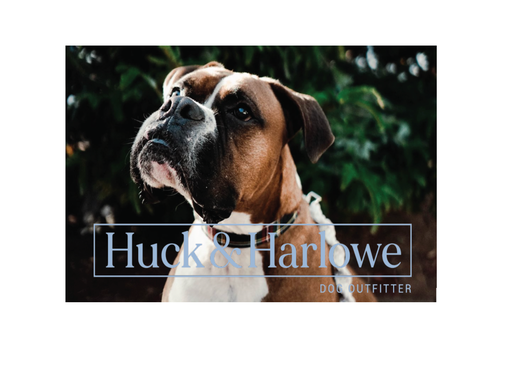 Huck & Harlowe E-Gift Card