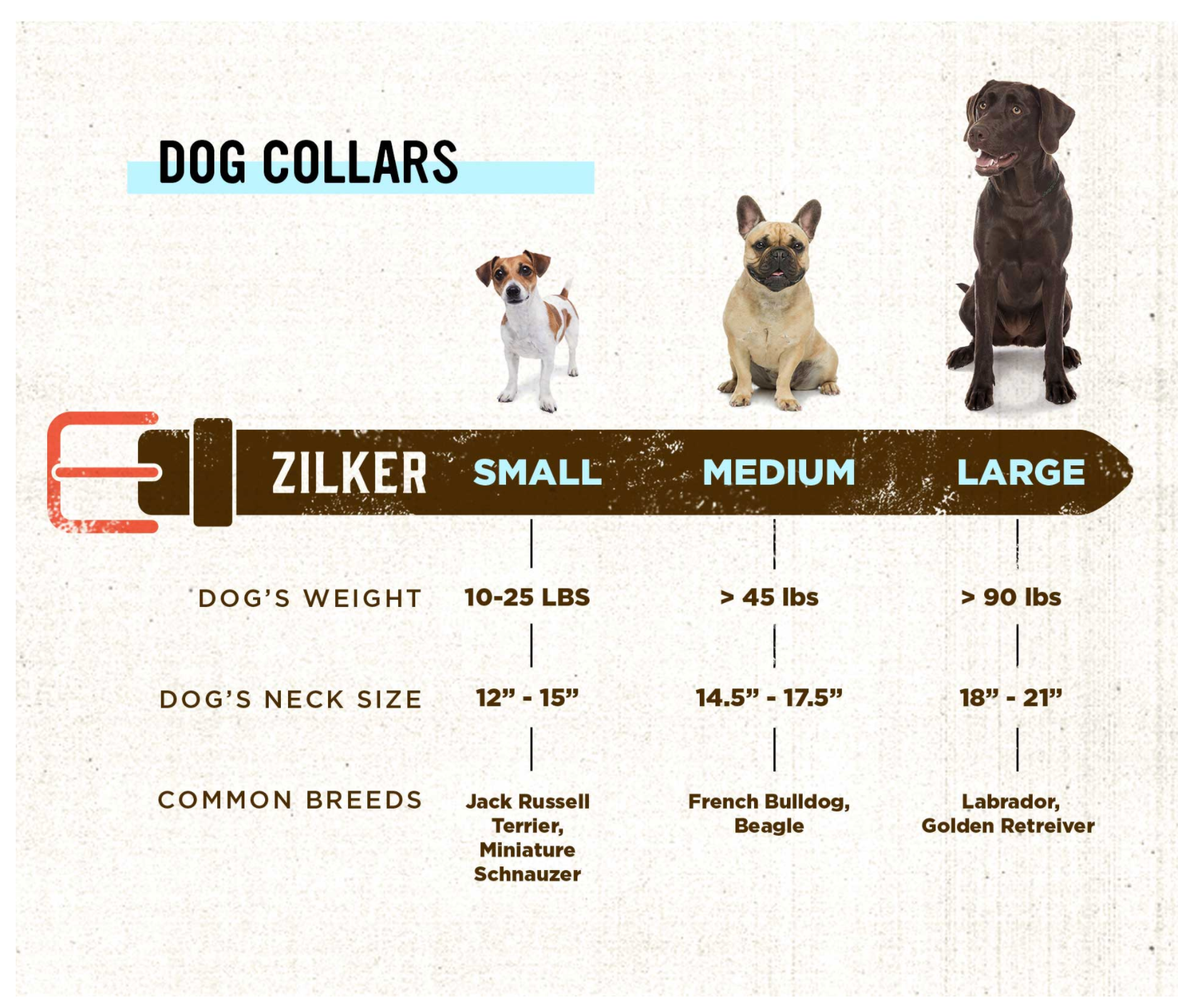 Zilker ACL Collar