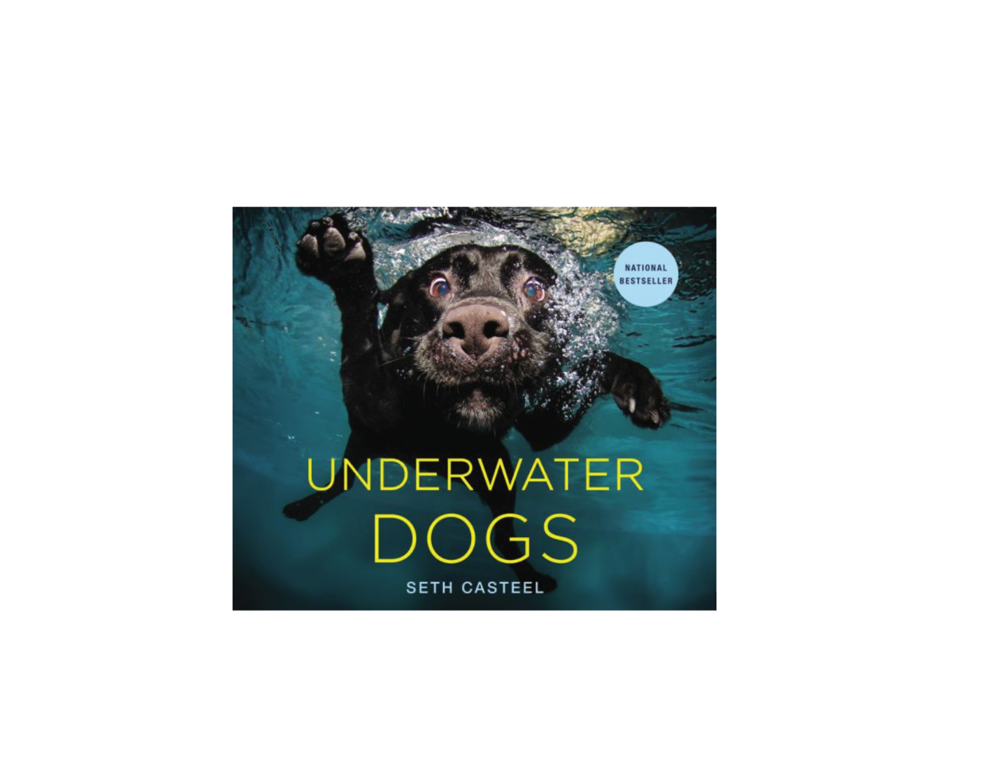 Underwater Dogs Book