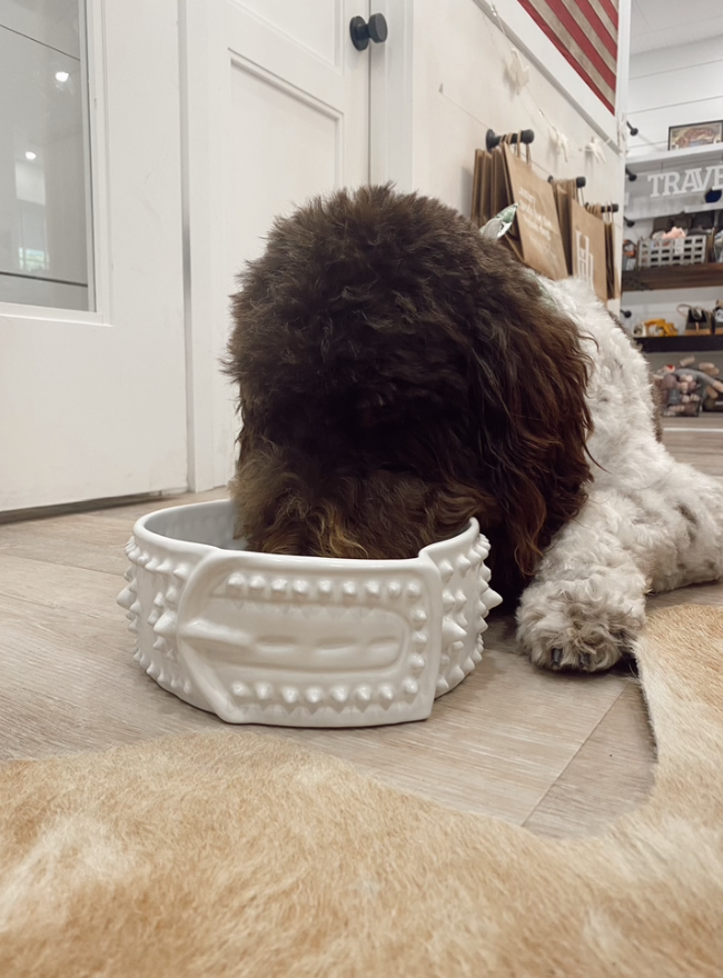 Handmade Spike Collar Bowl