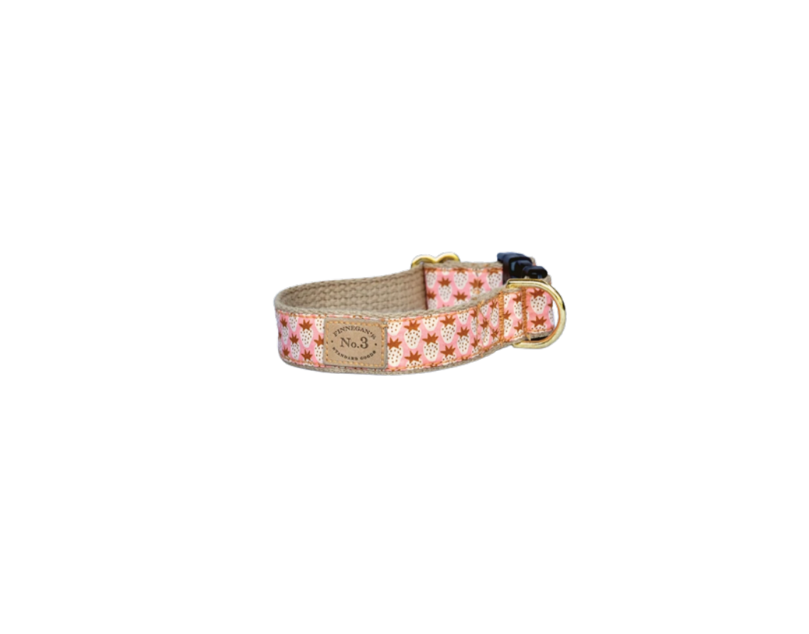 Pink Strawberries Collar