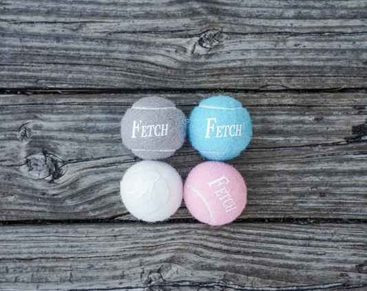 Fetch Balls- 4 Pack