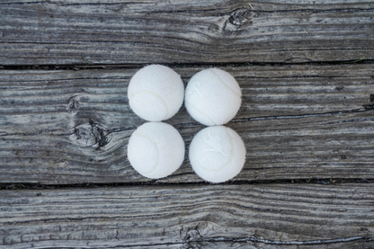 Fetch Balls- 4 Pack