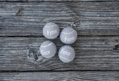Fetch Balls- 4 Pack