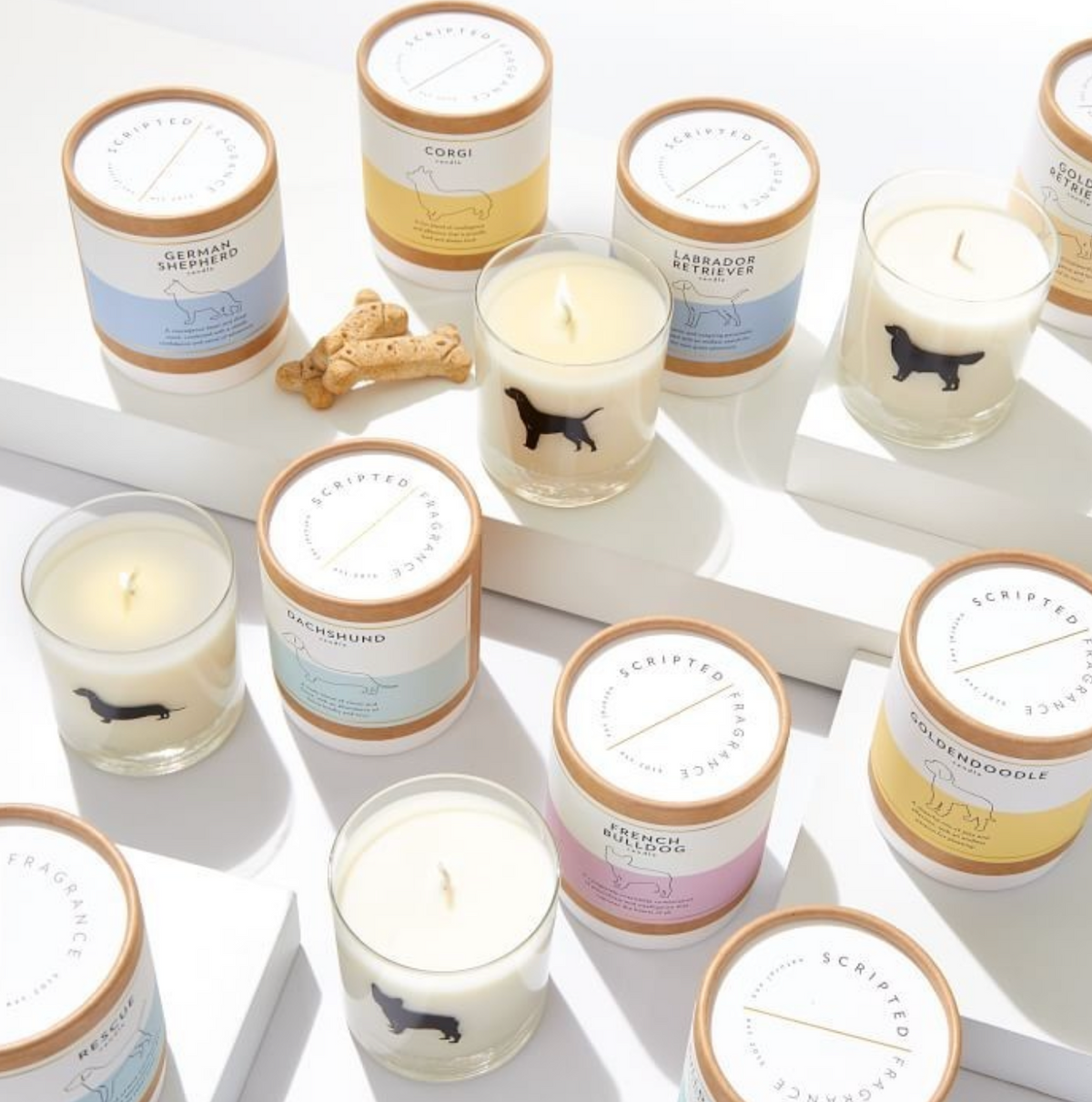 Scripted Fragrance Candle