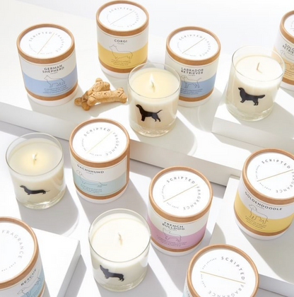 Scripted Fragrance Candle