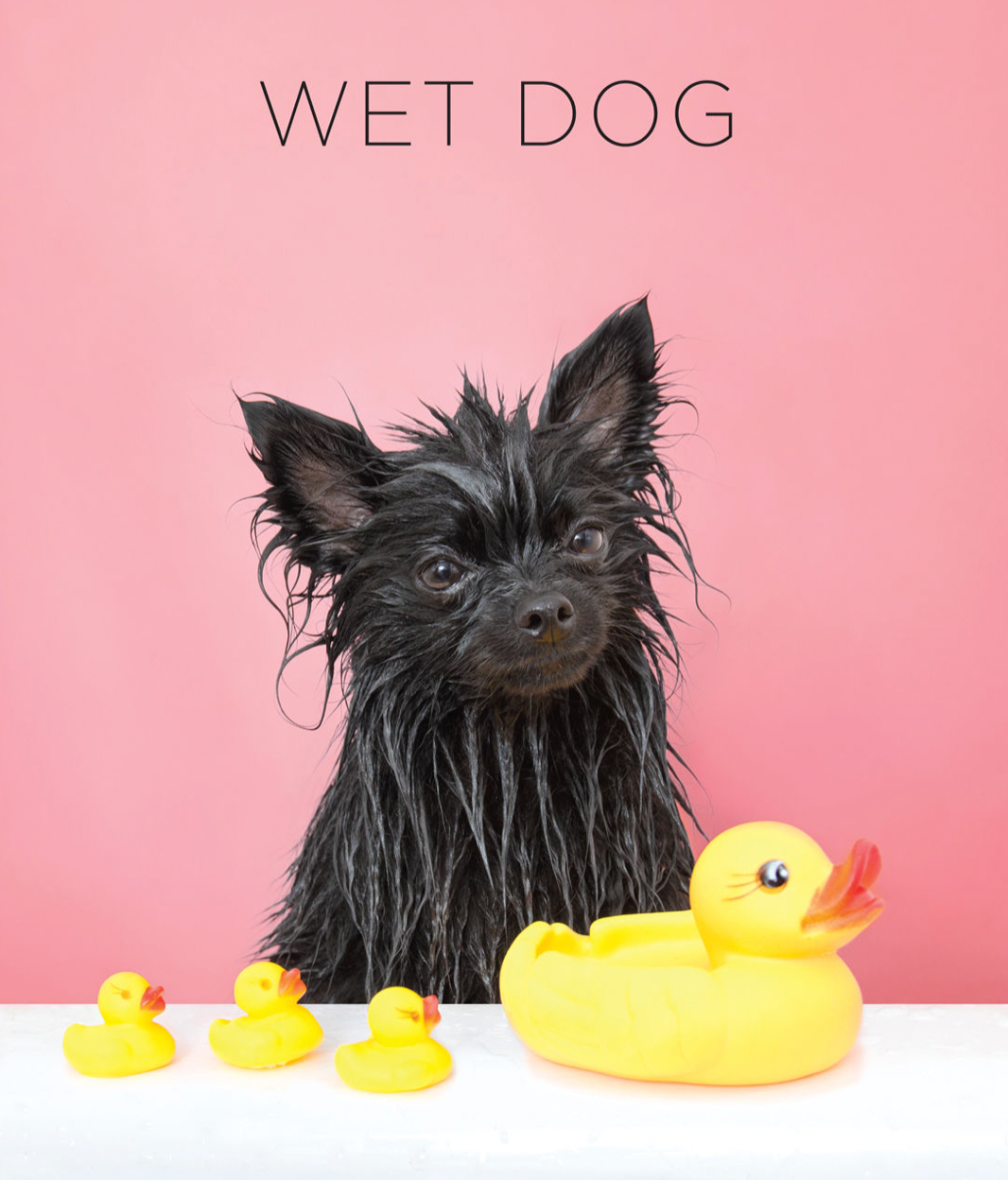 Wet Dog Book