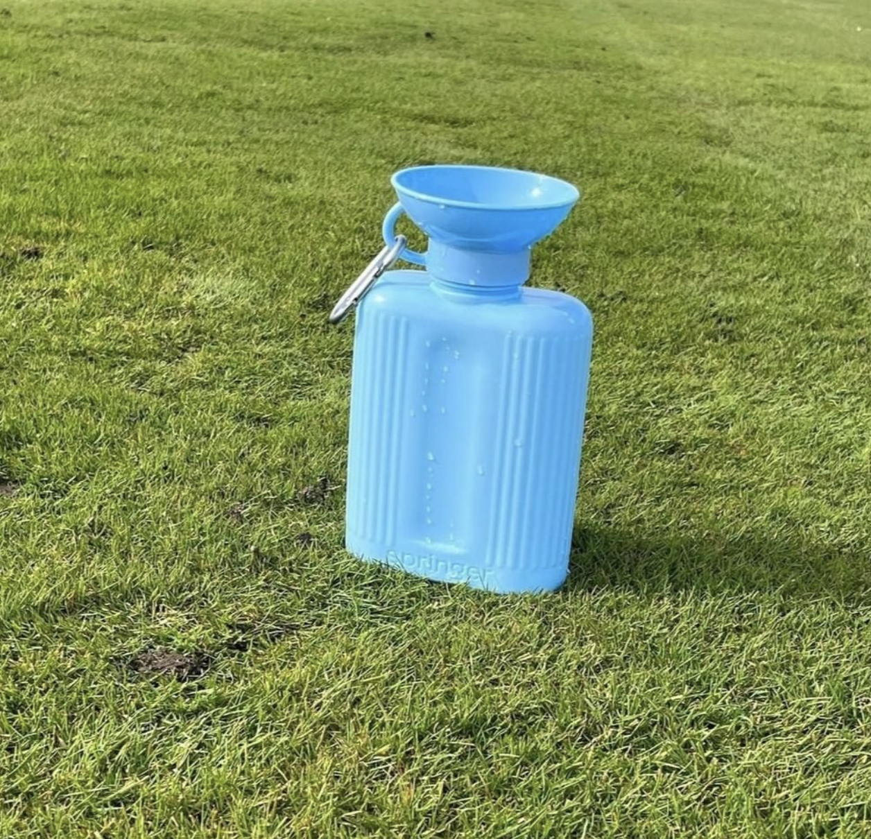 Springer Growler Sky Blue 44oz