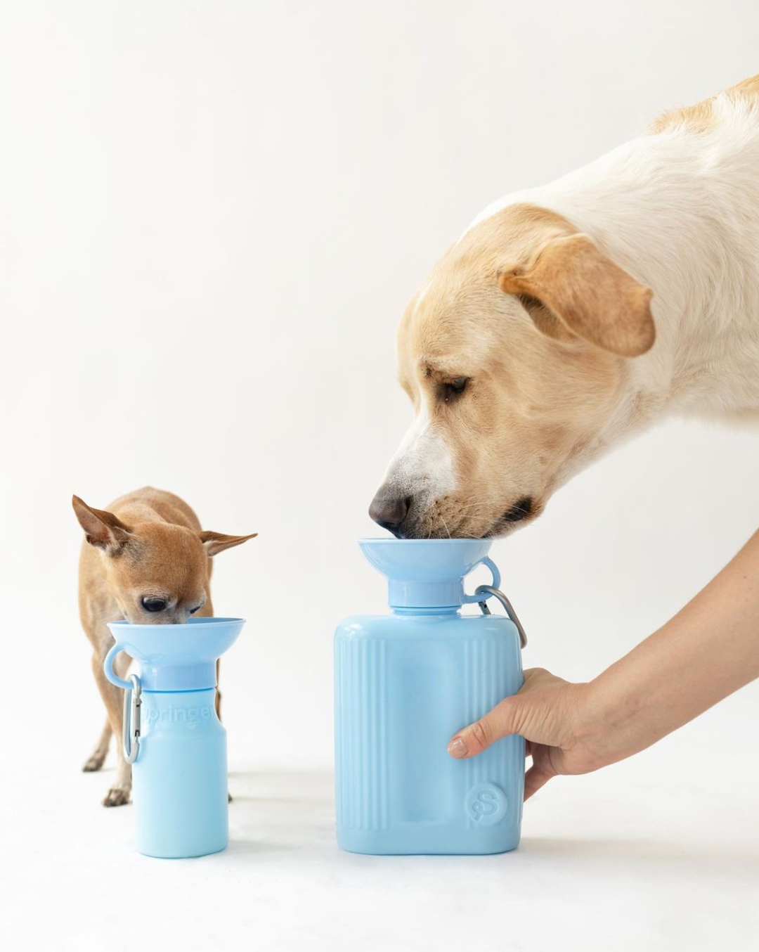 Springer Growler Sky Blue 44oz