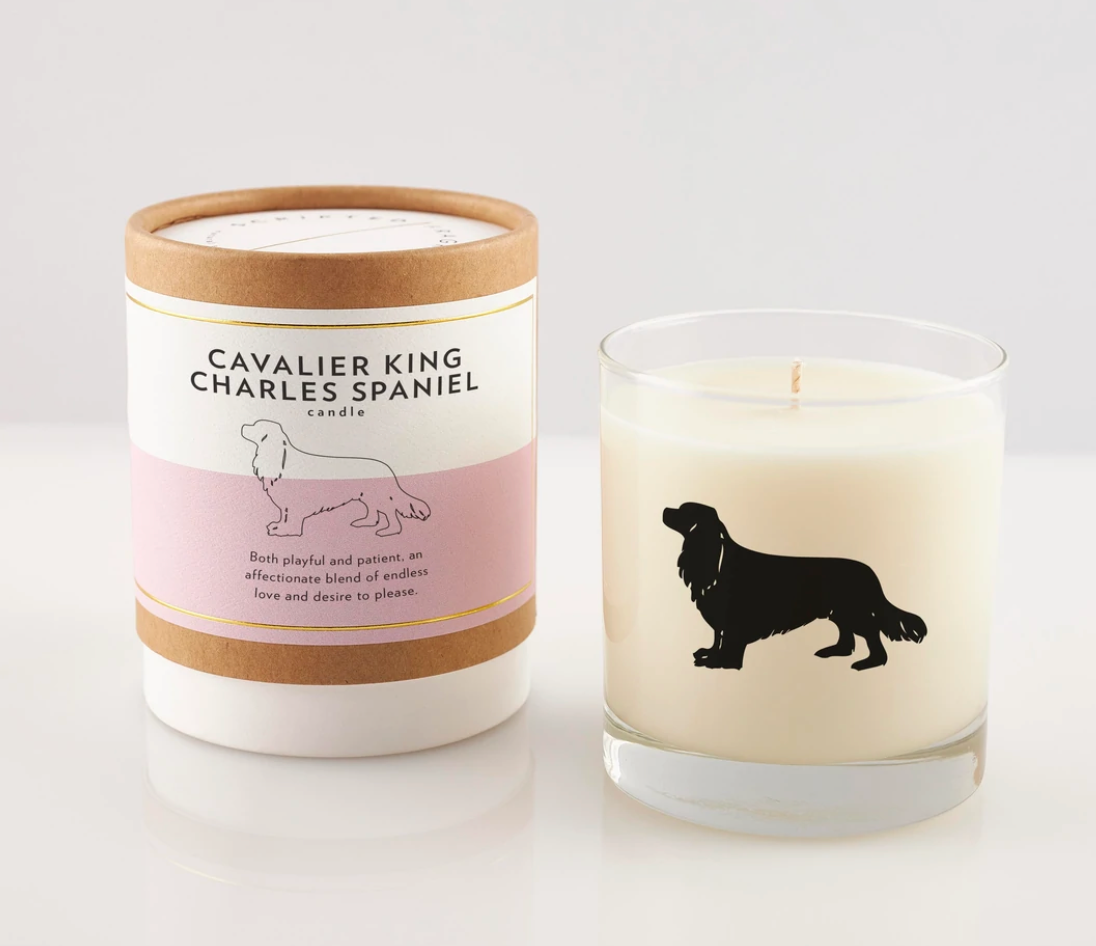 Scripted Fragrance Candle