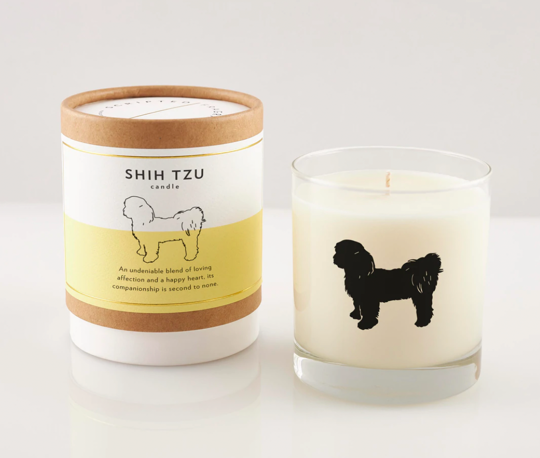 Scripted Fragrance Candle