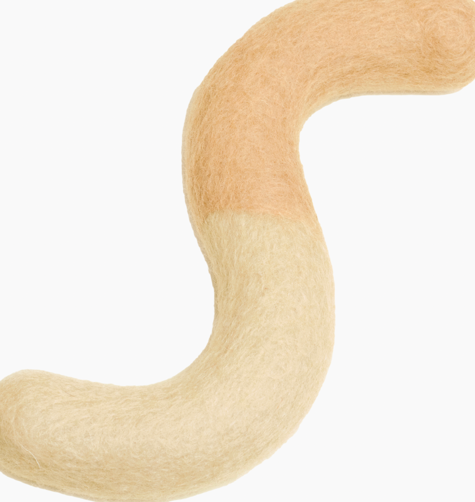 Noodle Felt Toy