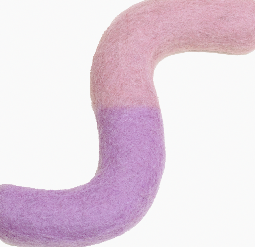 Noodle Felt Toy