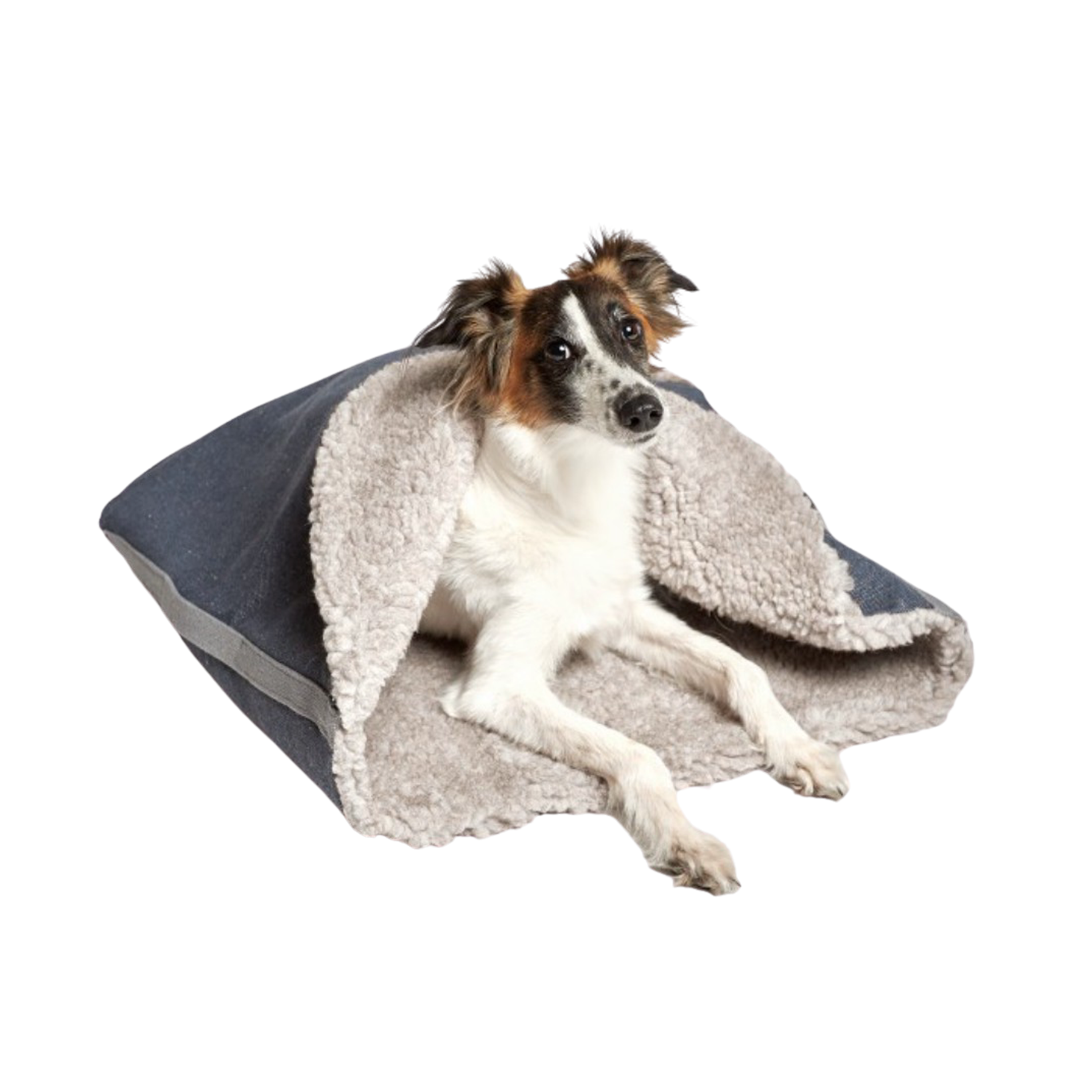 Cloud sales 7 dog