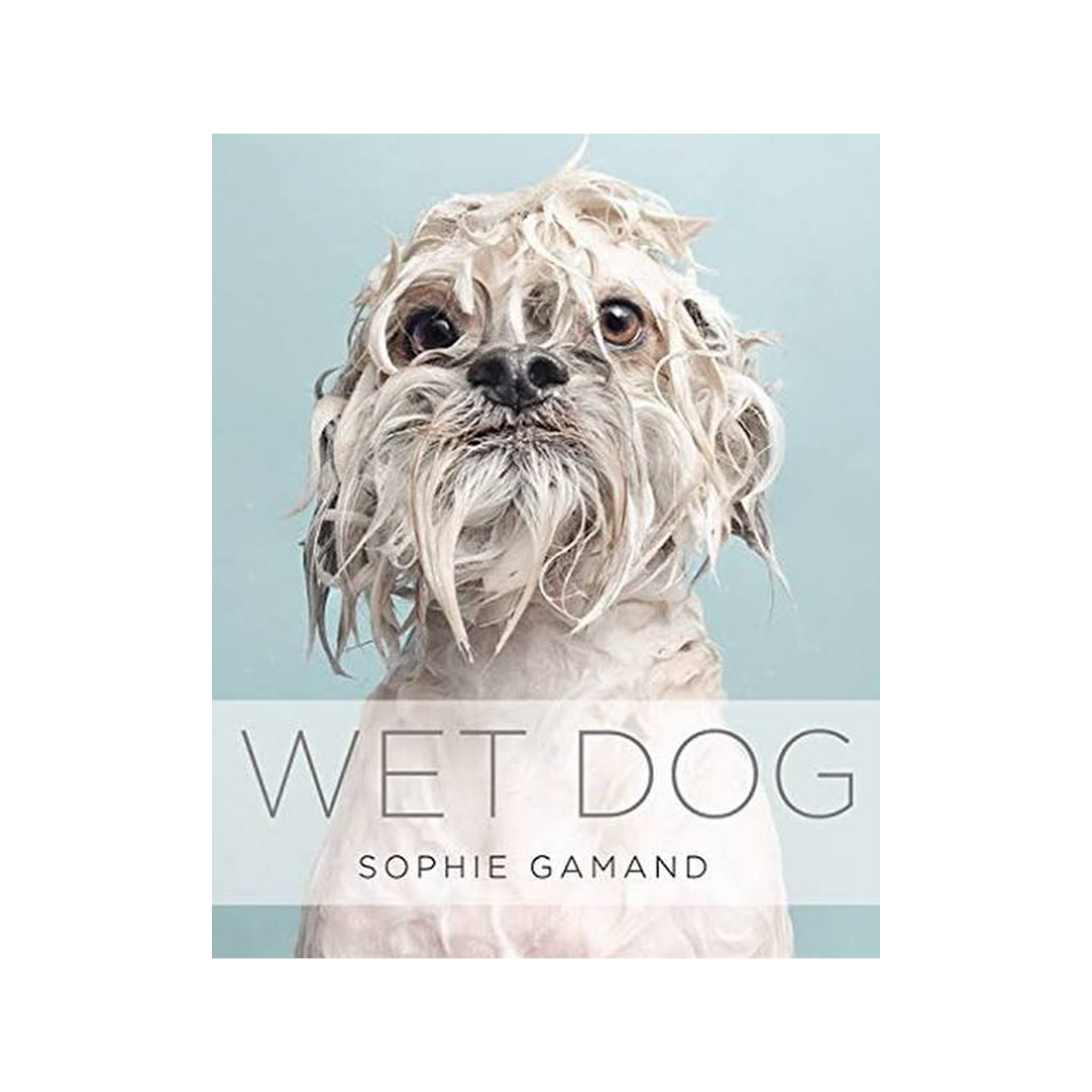 Wet Dog Book