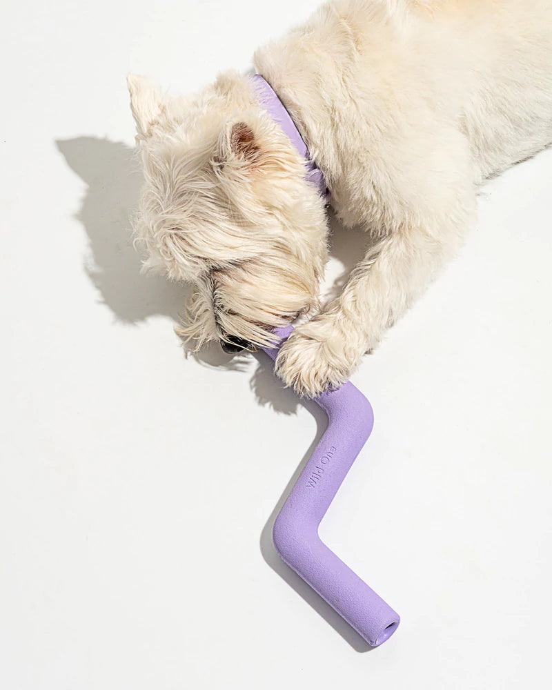 WO_VM_Studio_PDP_ToysBoltBite_Lilac_Dog_01_Web_bb16188f-0b9d-472b-bb36-ef741d201b86_800x1000_crop_center_jpg.webp